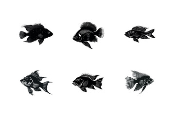 Fototapeta premium Six black silhouettes of cichlid fish illustrations