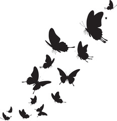 Flying flock of black silhouette butterflies isolated on white background vector illustration