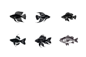 Fototapeta premium Six black and white fish illustrations