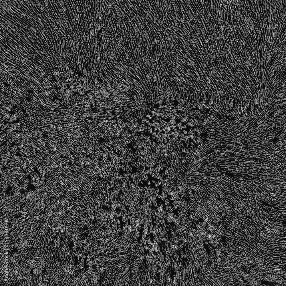 Poster a black and white circular pattern resembling a magnetic field, composed of concentric circles with 