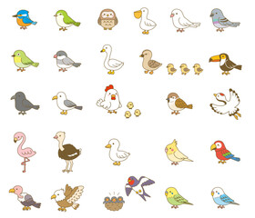 Cute Cartoon Bird Species Collection: Colorful Illustrated Set​