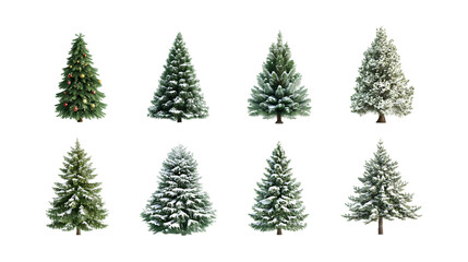 Obraz premium Pack Collection Eight Evergreen Christmas Trees A Collection of Festive Conifers set against transparent background