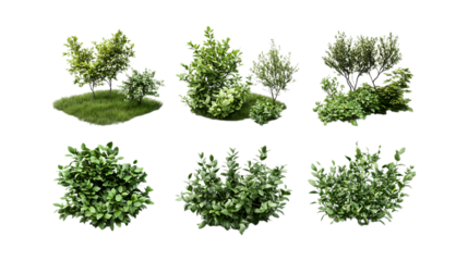 Pack Collection 3D Shrub Models set against transparent background