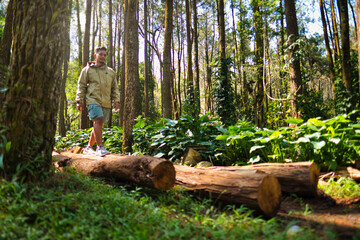 Man Walking on Forest Log Surrounded by Tall Trees and Lush Greenery