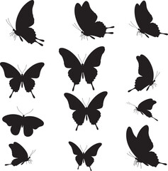 Various black butterfly silhouettes on a white background in multiple poses