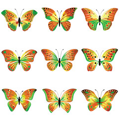 set of colorful butterflies