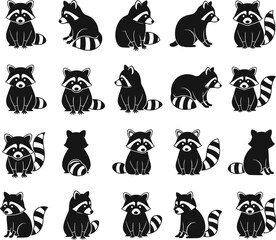 Obraz premium Twenty raccoon poses black and white illustrations