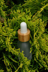 Matte glass serum dropper bottle nestled among lush green plant branches, merging clean beauty with...