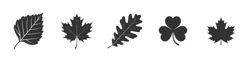 Oak leave, Cannabis Leaf, Clover, maple leaf, fig leaf, Birch leaf set ,silhouette vector illustration. isolated on white background.	