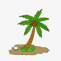 illustration of a palm tree. Cartoon of coconut tree