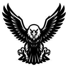 Obraz premium eagle head vocter