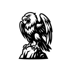 Fototapeta premium eagle head vocter