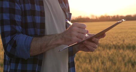 Close-up shot of agronomist hands holding clipboard and writing with pen in wheat field. Fieldwork...