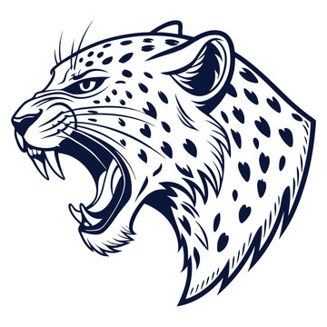 Angry leopard head profile