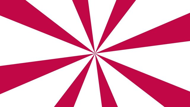 Pink stripes rotating. Motion rays abstract red background.  Looped 4k animation.