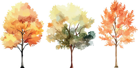 Watercolor Illustration of Three Autumn Trees with Varied Foliage Colors Including Yellow Orange and Green Isolated on a White Background for Seasonal Designs and Creative