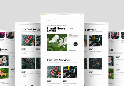 Email Newsletter Design