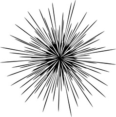 Naklejka premium Black silhouette of an abstract firework burst against. Vector illustration 