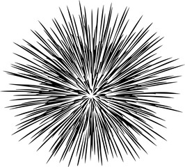 Black silhouette of an abstract firework burst against. Vector illustration
