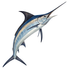Majestic blue marlin fish isolated on transparent background