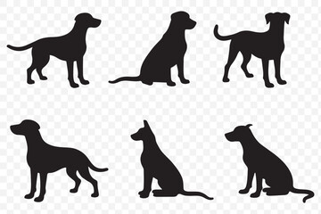 Dog Growth Stages Vector - Puppy to Adult Dog Silhouettes Set, Canine Life Cycle Illustration on Transparent Background. EPS 10.