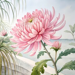 Pink mum tropical flower hand drown illustration watercolor petal 