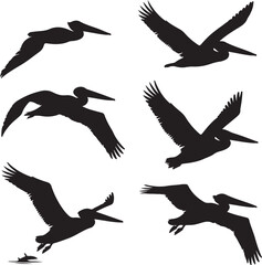 Obraz premium Pelican Standing on Pier SilhouetteFlying Pelican Over Water Vector DesignPelican with Open Beak Silhouette ArtCoastal Pelican Resting Scene VectorPelican in Flight Silhouette Illustration
