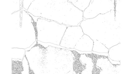 Black and White Cracked Surface Texture with Fine Details