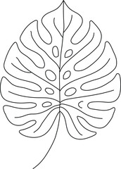 black and white flower