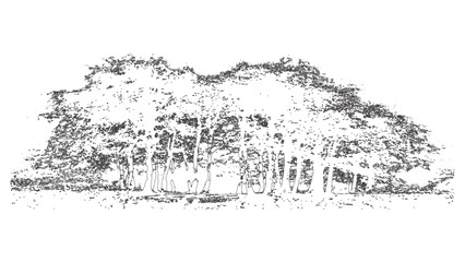 Black Silhouette of Trees