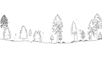 Fototapeta premium Black Silhouette of Pine Trees