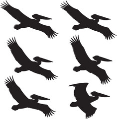 Obraz premium Pelican Standing on Pier SilhouetteFlying Pelican Over Water Vector DesignPelican with Open Beak Silhouette ArtCoastal Pelican Resting Scene VectorPelican in Flight Silhouette Illustration