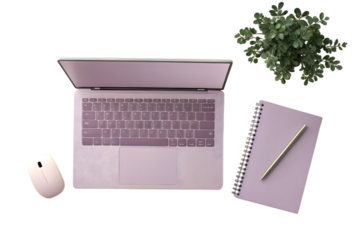 Modern workspace overhead view with laptop notebook mouse and small green plant decoration