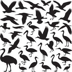 Pelican Standing on Pier Silhouette

Flying Pelican Over Water Vector Design

Pelican with Open Beak Silhouette Art

Coastal Pelican Resting Scene Vector

Pelican in Flight Silhouette Illustration