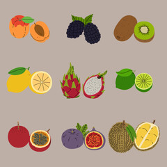 Flat Colorful Tropical Fruits Vector Set &ndash; Minimal Stroke Style &ndash; 3
