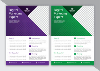 Digital Marketing Expert Flyer Design And Template