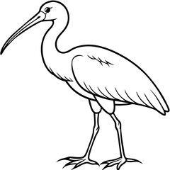 Obraz premium Ibis Bird Wading in Shallow Water with Long Beak – Graceful Line Art Illustration