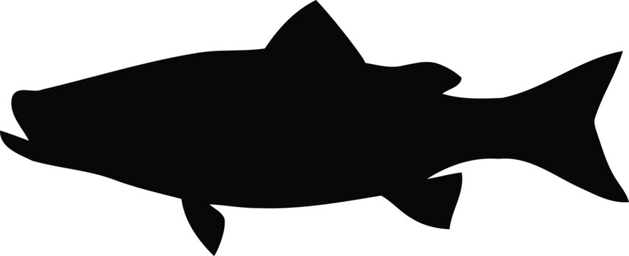 Fishing logo template, Fishing Logo Icon, unique fishing-related logo. simple. memorable. vector. editable, Fish With Arrow Shape Fishing Logo Template, fish chub logo, Fishing bass logo. 