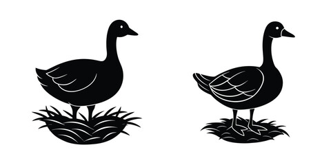 Minimal concept showing a goose with hay bale Isolated on White Background