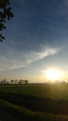 Vertical shot of bright morning sun over lush green rice fields in Jember, East Java, with blue skies and soft clouds capturing the fresh start of a vibrant day in the countryside