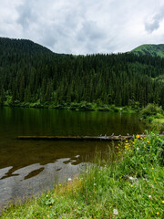 landscape of middle Kolsay lake in Almaty, Kazakhstan with blooming wildflowers and cloudy sky