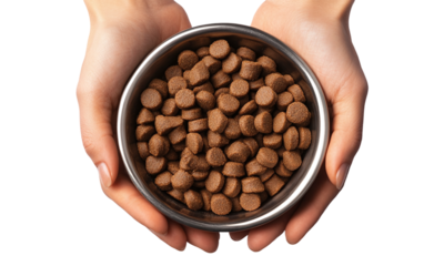 Hands holding bowl of a dog food isolated on transparent background.