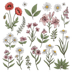 Seamless floral pattern with vintage flower, leaf, and plant illustrations for nature-inspired design and decoration