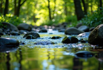 Tranquil stream flowing through a lush green forest with smooth stones