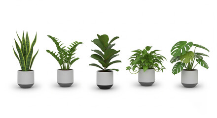 Fototapeta premium Indoor Green Plants in White Pots Aligned in a Row
