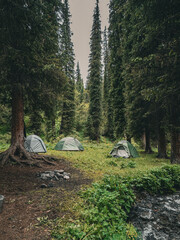 Cozy campsite nestled in a dense forest by a flowing stream, perfect for adventure and outdoor...