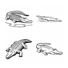 line art of crocodile bundle on the white background 