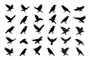 Flying Crow Silhouette in Vector Art Collection