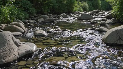 Calm river stream flowing over smooth stones in a serene forest setting