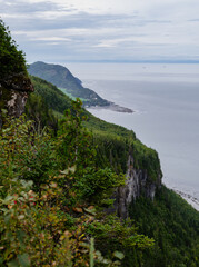 high angle view of a land on the side of a lake with a green tree forest in summer and a tall cliff in the foreground